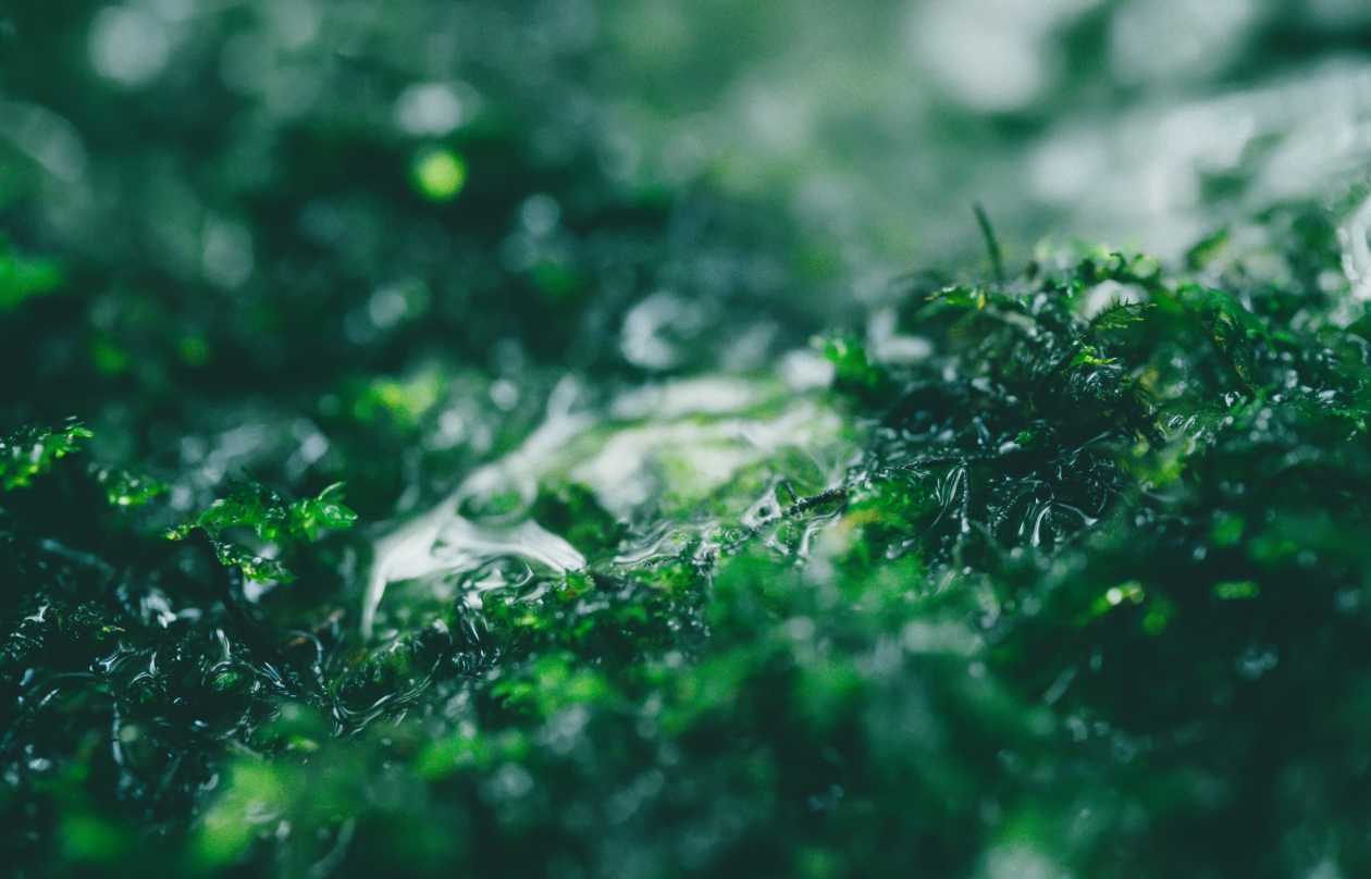 Contributing to a more dynamic world with textiles that blend traditional craftsmanship and innovation.