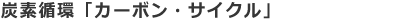 YfzuJ[{ETCNv