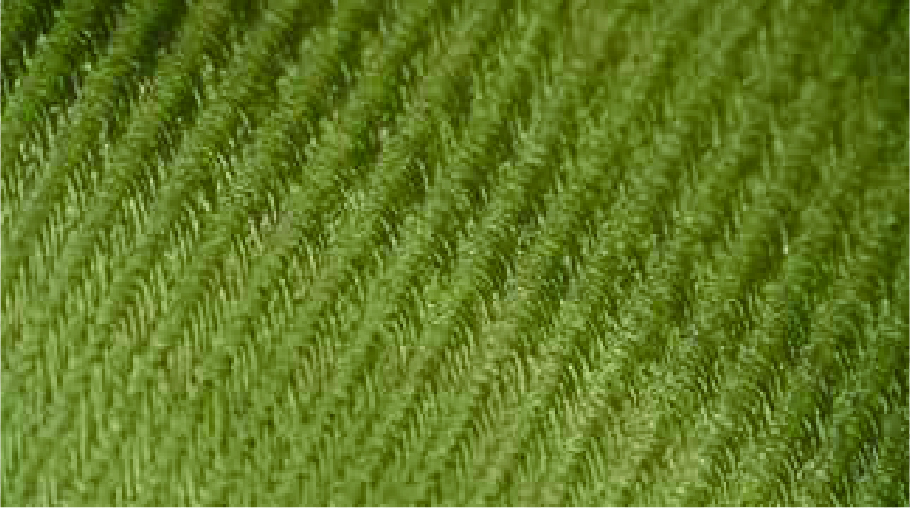 パリネ®