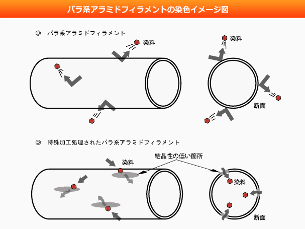 パラ系アラミドフィラメントの染色イメージ図